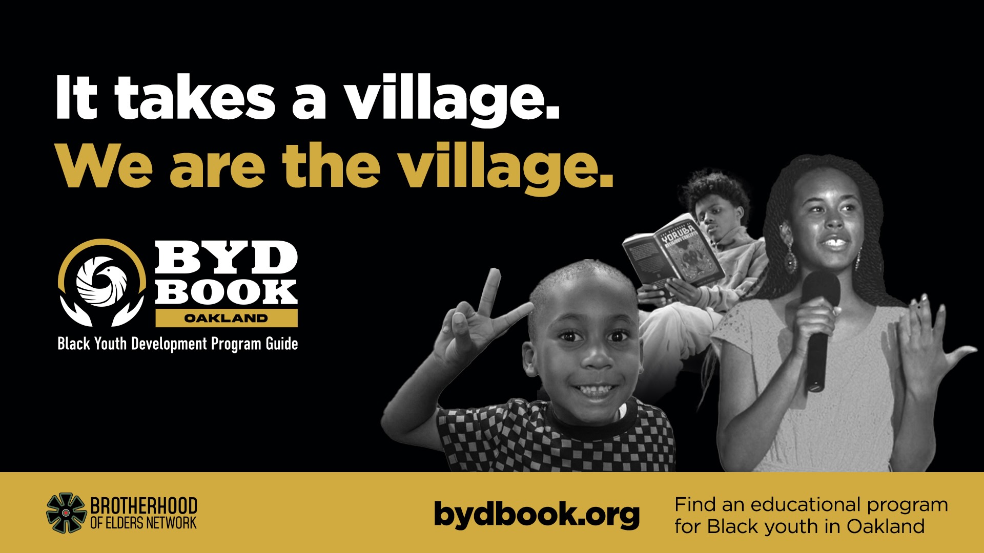 Black Youth Development Book