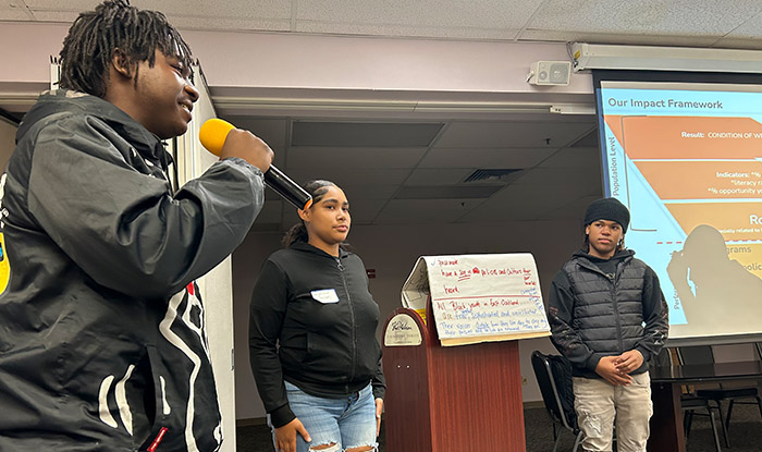 Black Youth Development Book